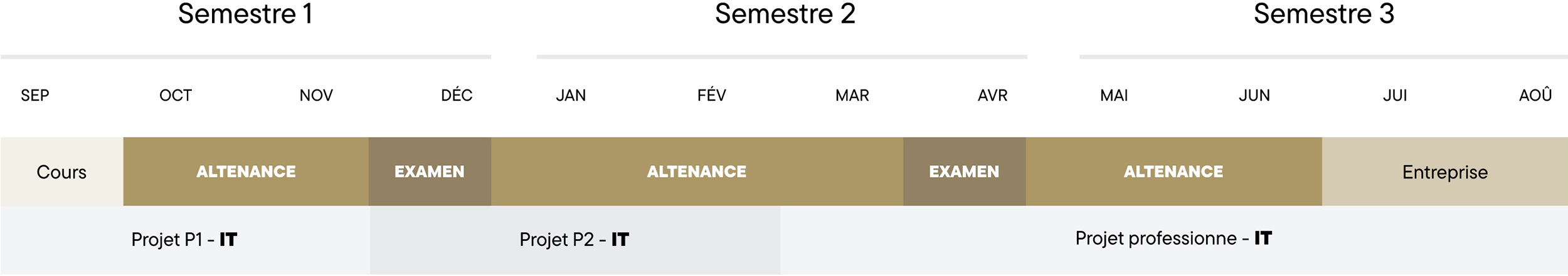 schema bachelor